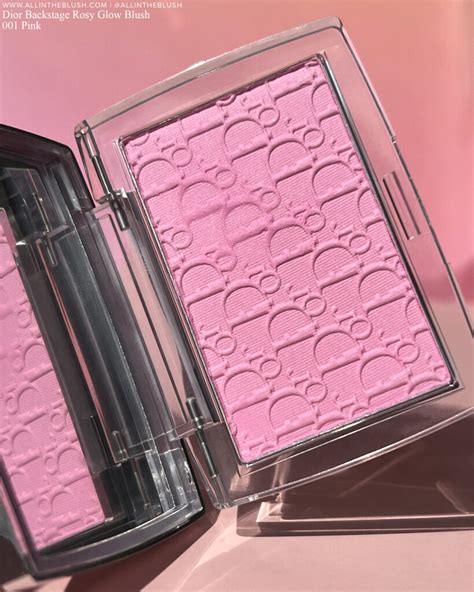 dior backstage blush review.